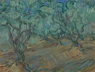Oliveraie
